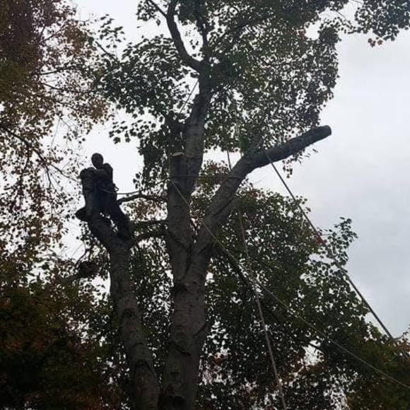 Meet your Posher, Steven - Picture 1 of 1